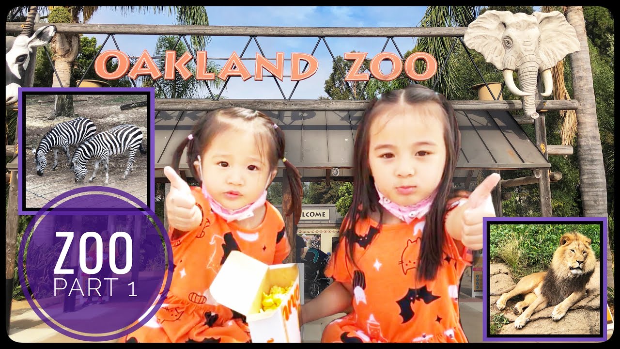 OAKLAND ZOO during the PANDEMIC! Fun tour with Kids | Part 1 