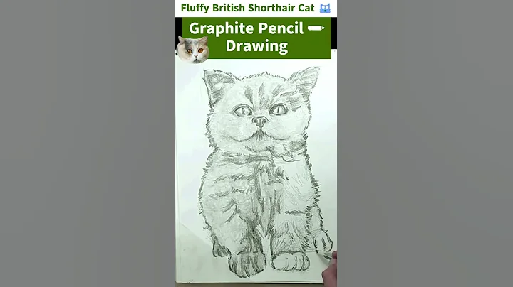 Video 9755951: fluffy british shorthair cat, british shorthair cute cat, cute cat drawing