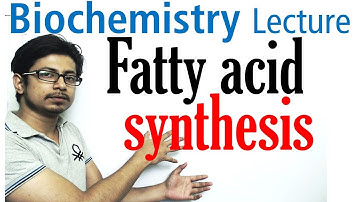 Fatty acid synthesis