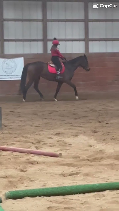 @Kiki_Equine