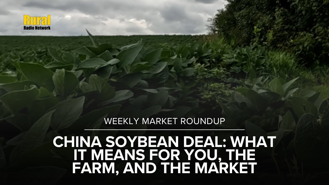 China Agrees to U.S. Soybean Deal — What It Means for U.S. Farmers ...