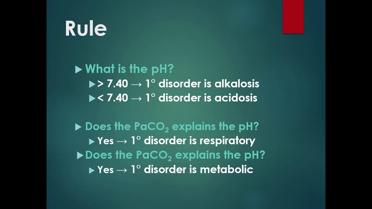 Lecture 12: Arterial Blood Gases & Pulmonary Function Tests - Prof. Basheer Khasawneh