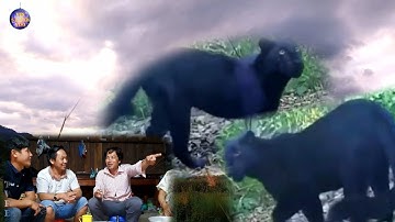 Xwm txheej tseem pom tej yam tsiaj txawv 2 ua you tsis tau pom dua li