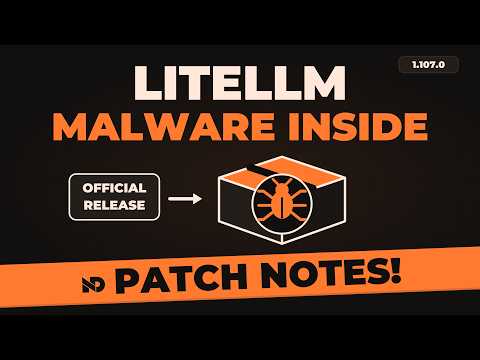 LiteLLM Hack - Malware in the Official Release | Patch Notes
