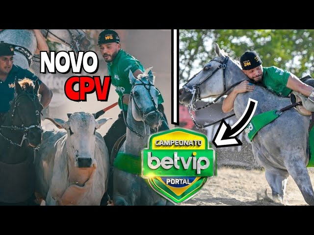 Portal Vaquejada - REI BIG DOC é campeão antecipado do CPV 2022 e entra  para a história como um dos mais competitivos cavalos de puxar na vaquejada.