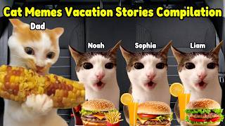 Cat Memes Family Vacation Stories Compilation