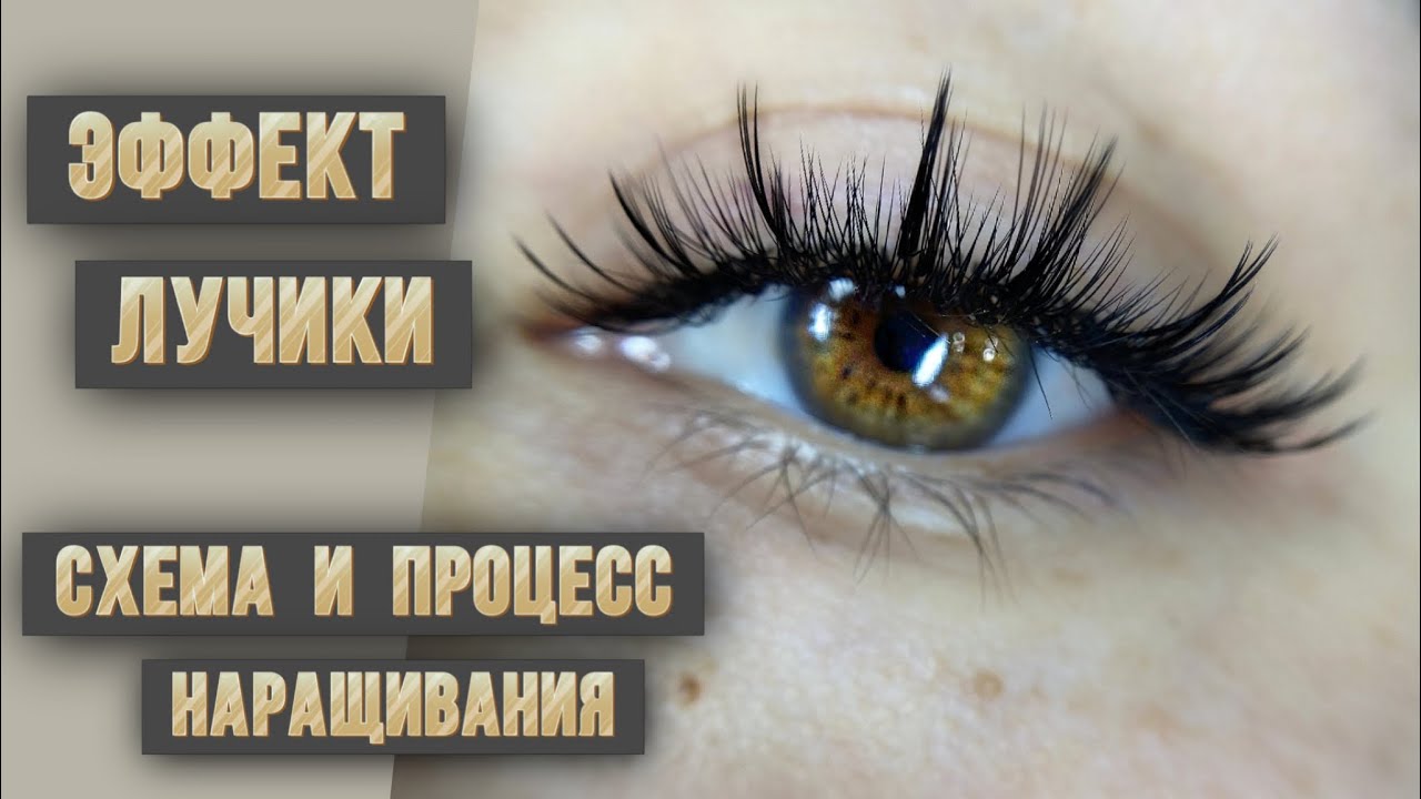 Схема и процесс наращивания ресниц эффекта лучики схемы наращивания для лэшмейкера 2д 3д