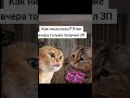 22 декабря 2025 г.