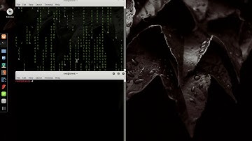 Kali Linux MATRIX Effect TUTORIALS
