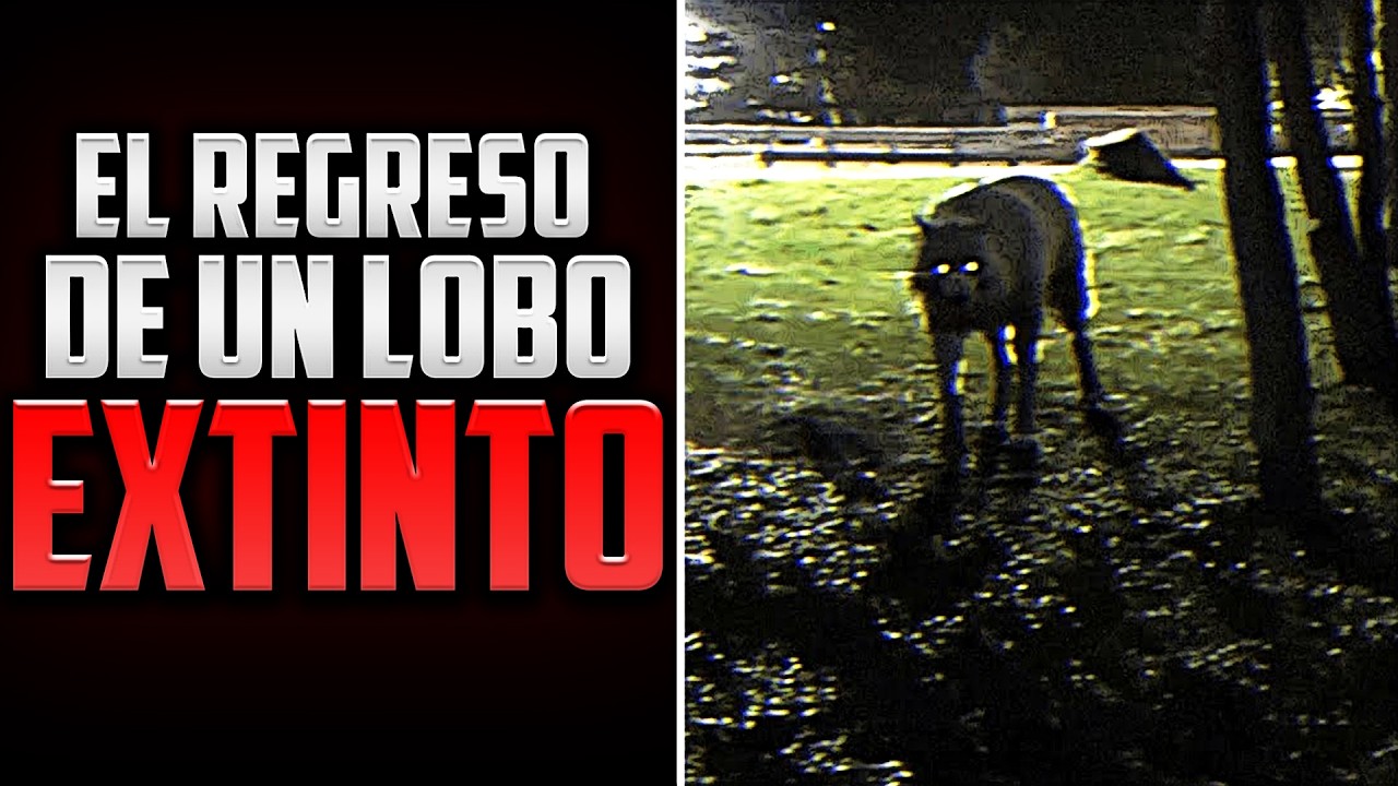 ¿Qué pasa cuando un lobo extinto caza en nuestra época? | Prehistoric Emergence | Analog horror Pt 3