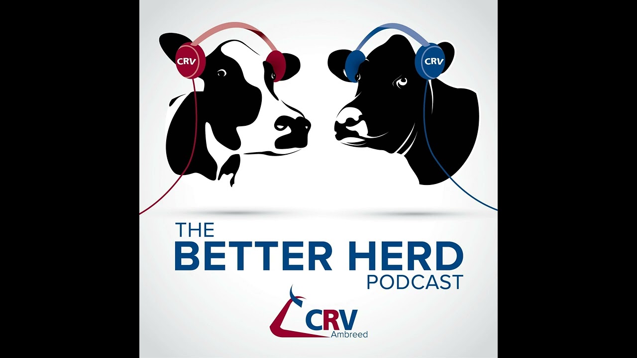 1. Let's talk animal evaluation