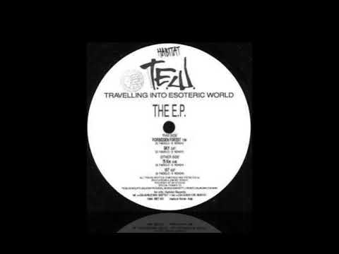 T.E.W. — T.E.W.- Travelling Into Esoteric World E.P. - Forbidden Forest - Habitat 001 (1994)