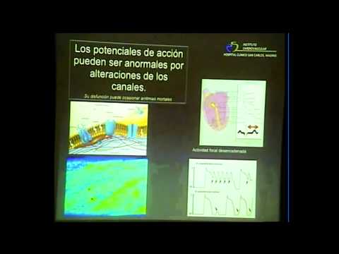 Dr. Pérez-Villacastín. Anatomía