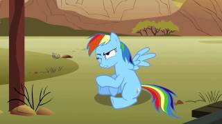 Loyalty PMV