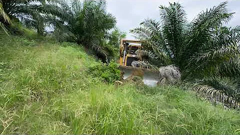 The Process of Building Mountain Roads Using a CAT D6R XL Bulldozer in Extreme Terrain