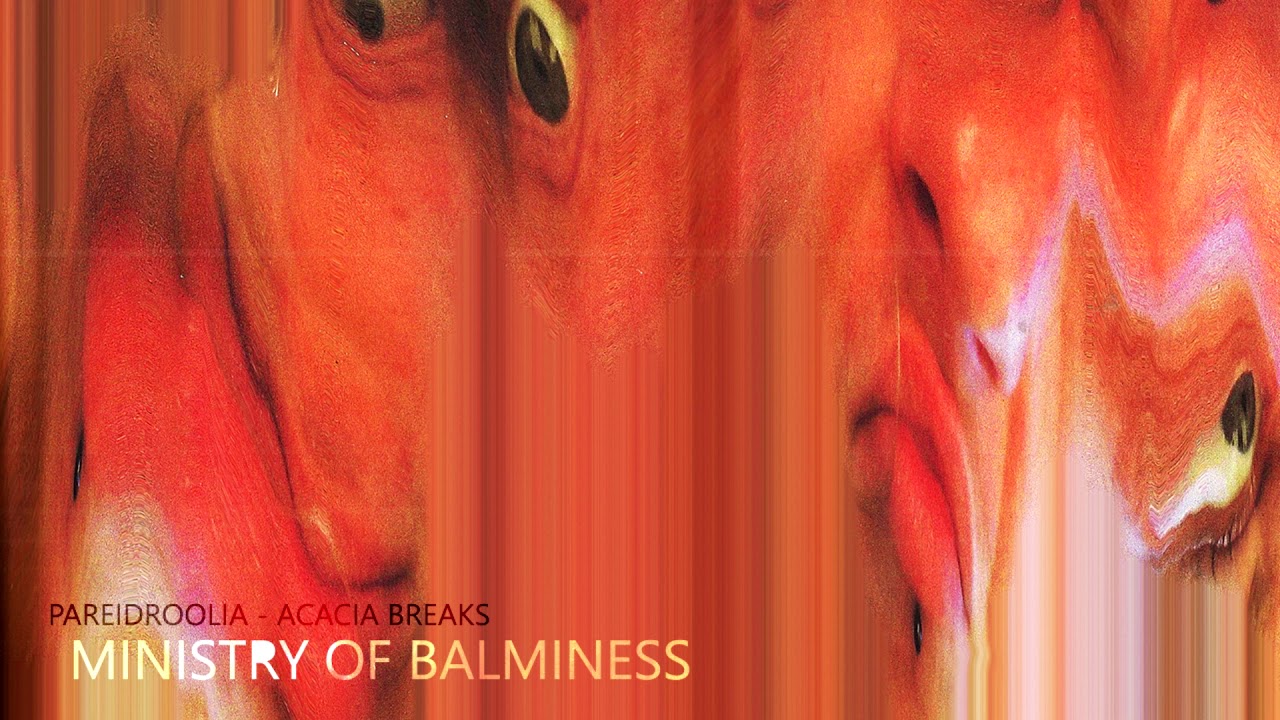 Pareidroolia  - Acacia Breaks - Ministry of Balminess