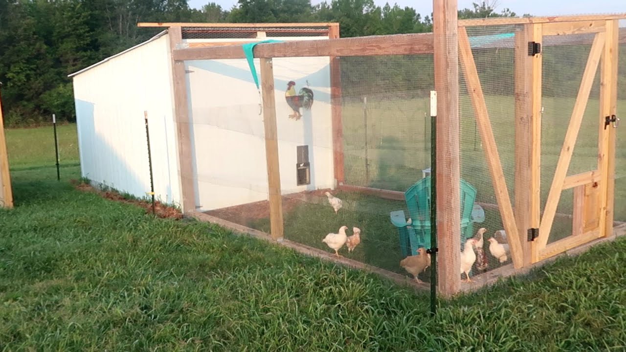 Backyard Chicken Coop & Run/DIY Chicken Coop & Run YouTube