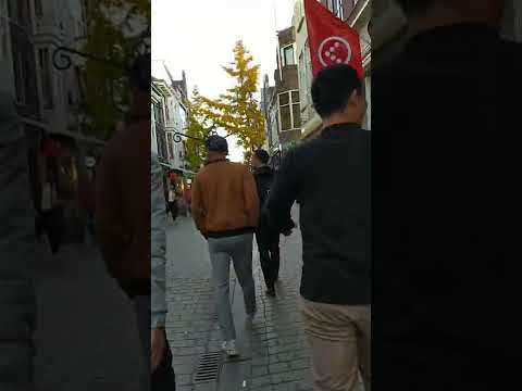 Video 2022 M11 13 - youtube