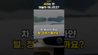 서리는 언 이슬이 아니라고?