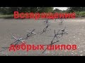 Вектор Движения №116. Возвращение добрых шипов. (18+)