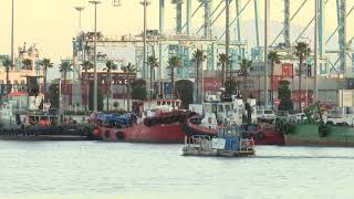 El Puerto de Algeciras aumenta su pesca desembarcada mientras Galicia lidera el volumen nacional