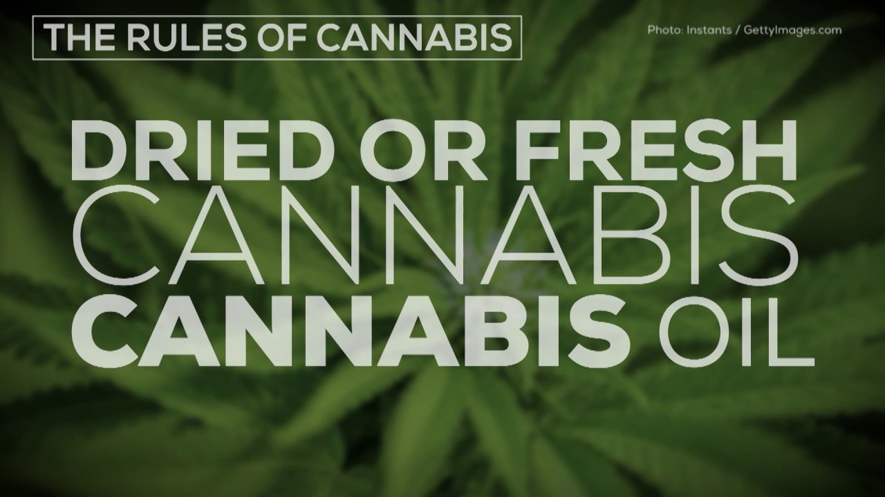 What will happen on cannabis legalization day?