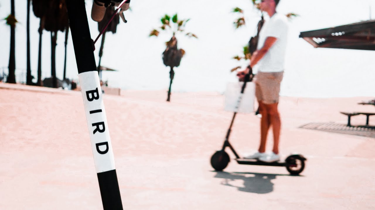 The Bird Scooter Revolution Can This Business Survive? YouTube