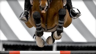 Lily Equestrian Music Video