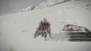 Where To Find Ash of War White Shadow's Lure | Elden Ring