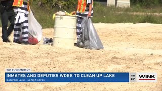Lehigh Acres lake cleaned up by LCSO inmates after WINK News report