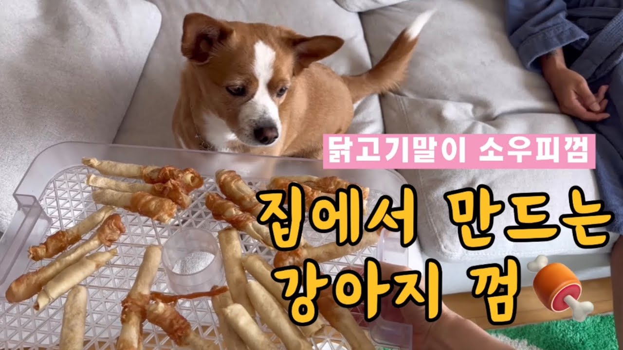 집에서 쉽게 만드는 강아지껌(닭고기말이 소우피껌)