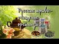 Русские травы весной - лучшее очищение организма! Чай и Кофе - Выпуск 24