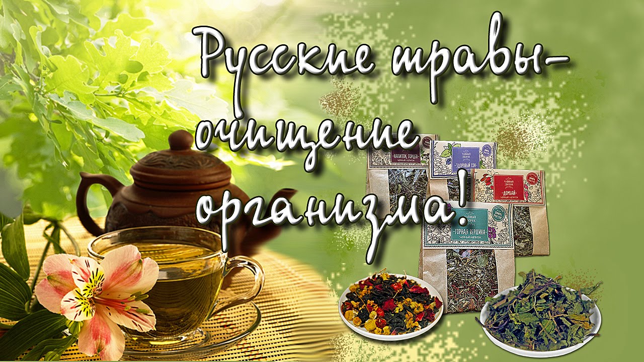 Очищение организма весной Очищение организма весной