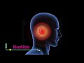 10000 hz beta wave tinnitus sound therapy to unblock your ears  15 min isochronic binaural beats