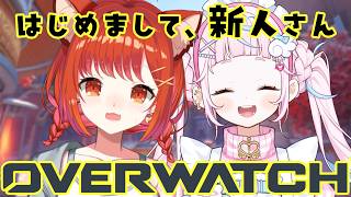 【OW】ランク!陰の者、ついに新人さんと遊ぶ w/ぷりんさん【ラトナ・プティ/にじさんじ】