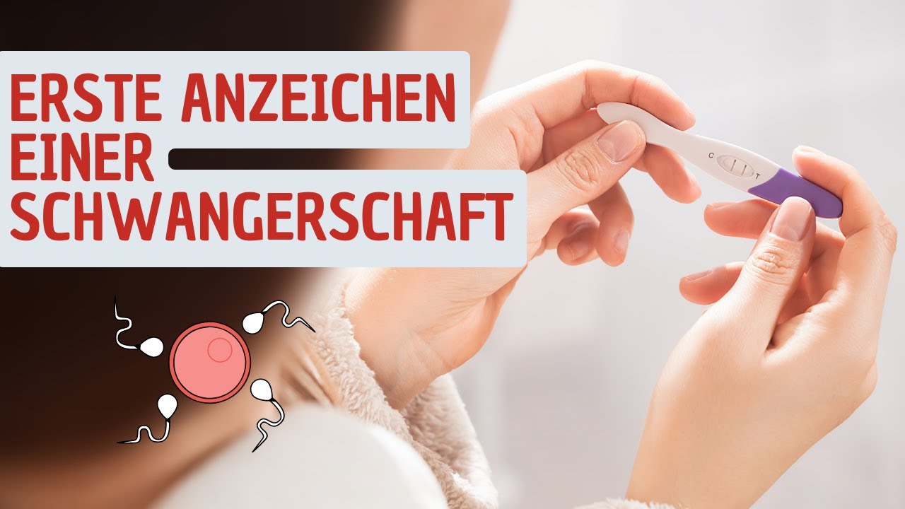 Erste Anzeichen der Schwangerschaft 💡 Infos von der Hebamme