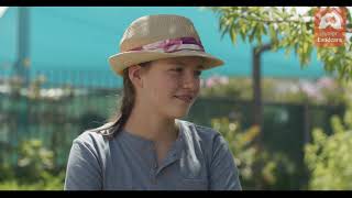 Creating a Bee Hotel  |  Native Australian Bees