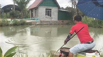 Câu Đài Rô Phi Khủng  | Tarde de pesca pelo rio