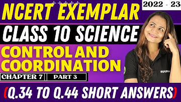 NCERT EXEMPLAR || CONTROL AND COORDINATION | CLASS 10 | SCIENCE | CHAPTER 7 | PART 3 | SHORT ANSWERS