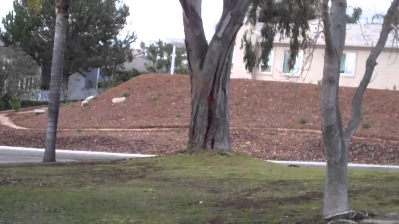 Paintball Barrel Camera Test YouTube