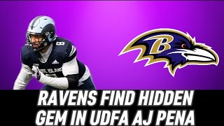 UDFA AJ Pena to be Next Trey Hendrickson ?!?! #baltimoreravens #ravensudfa #udfatracker 