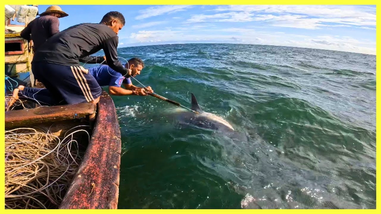 ATAQUE EXPLOSIVO DO TUBARÃO NA RETIRADA DA PESCARIA EM ALTO MAR!!!