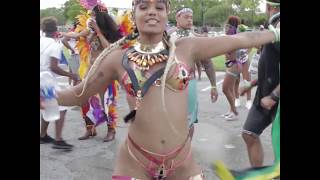 Waving your flag - Miami Carnival 2018