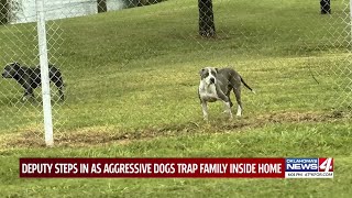 Deputy steps in as aggressive dogs trap family inside home Police Officer Calms Aggressive Dogs The Dodo