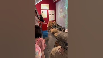 Bảo tàng chứng tích chiến tranh Việt Nam| Hồ Thị Phương Thảo| Thảo ở Sài Gòn| Daily vlog