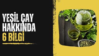 Yeşil Çayın Faydaları Nelerdir? Yeşil Çay Hakkında Bazı Bilgiler