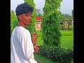 Inside Manas National Park Resort 😍