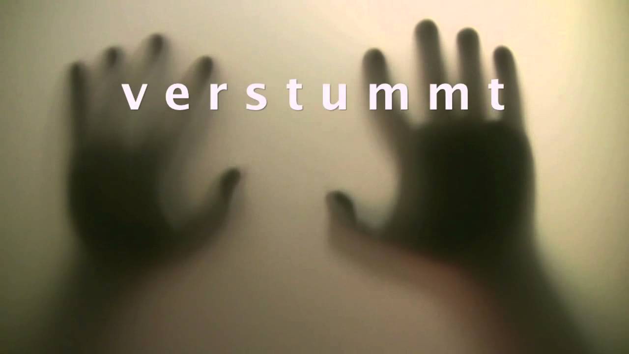 ratgeber leitfaden Stephanie Fey - »Die Verstummten« - Thriller, Heyne