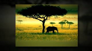 Namibia Wildlife Resort