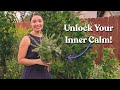 Grow Your Own Calm: Harvesting &amp; Tincturing Fresh Skullcap for Stress &amp; Sleep